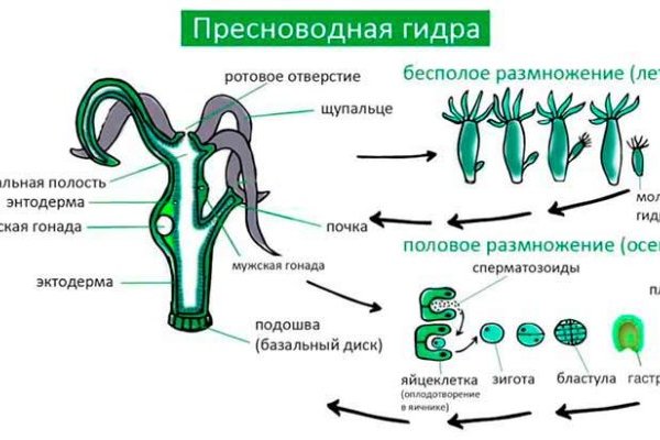 Кракен вход рабочий