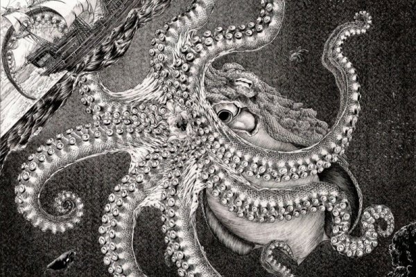 Kraken 6at