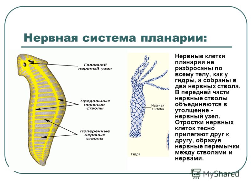 Кракен маркетплейс магазин