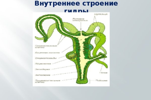 Ссылки на сайты даркнета