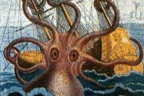 Kraken 20at net