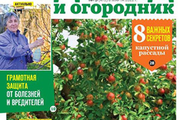 Ссылка на кракен свежая