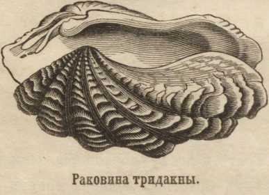 Пользователь не найден что делать